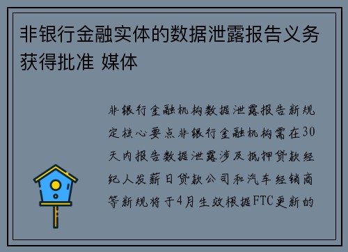 非银行金融实体的数据泄露报告义务获得批准 媒体